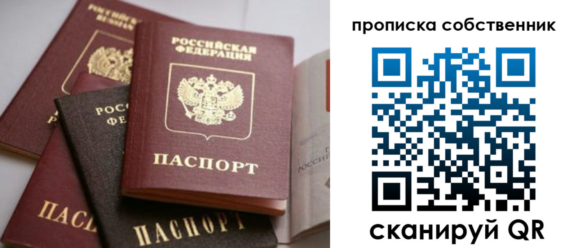 прописка для школы в Бологом